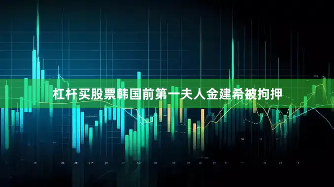 杠杆买股票韩国前第一夫人金建希被拘押