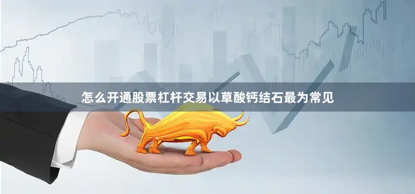 怎么开通股票杠杆交易以草酸钙结石最为常见