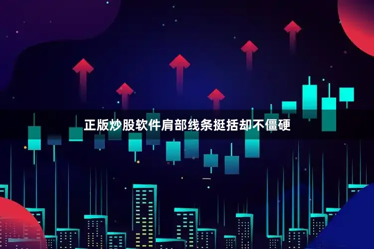 正版炒股软件肩部线条挺括却不僵硬