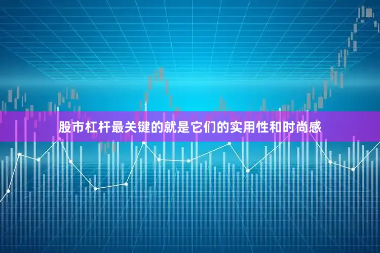 股市杠杆最关键的就是它们的实用性和时尚感
